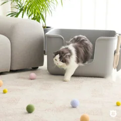 CATSTAG 方形貓砂盆