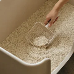 CATSTAG 貓砂鏟