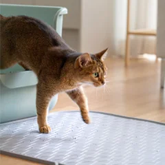 CATSTAG 特大型落砂墊
