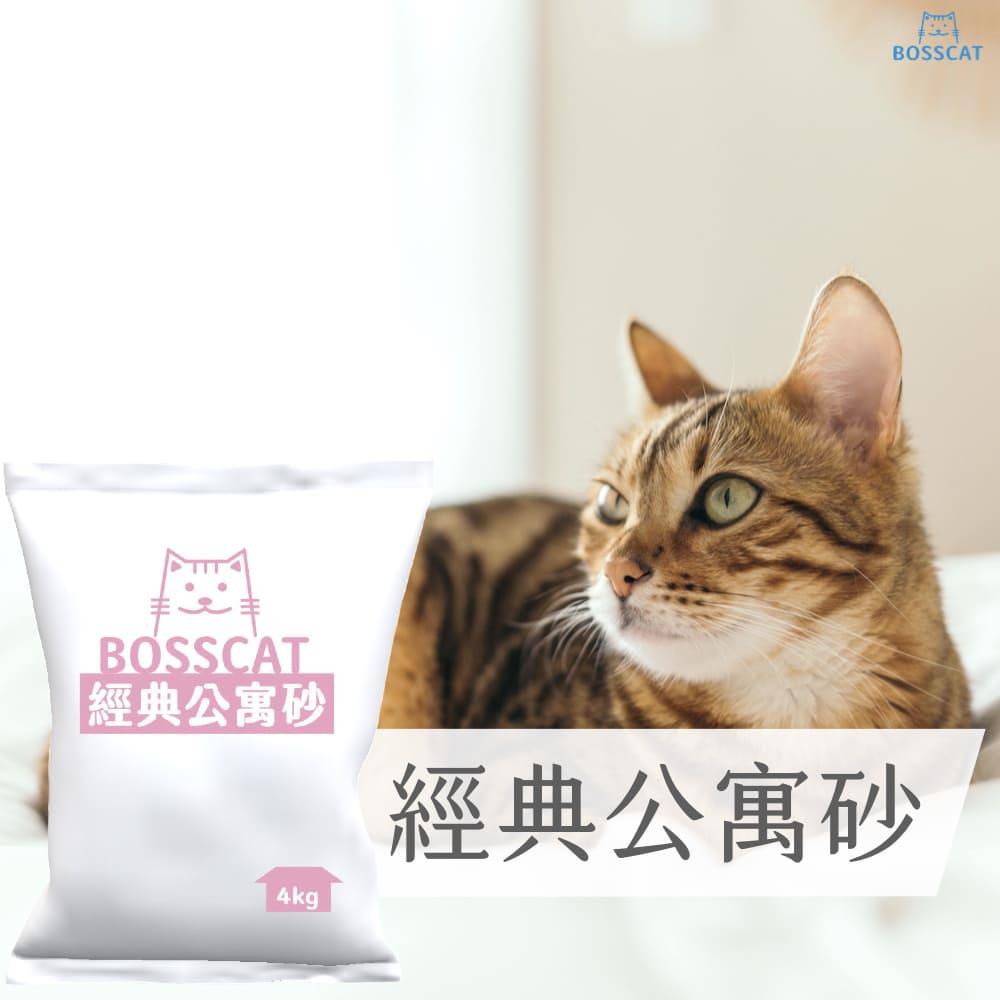 虎斑貓在客廳裡，旁邊放著貓老闆經典公寓砂 4.75 公斤裝礦砂包裝